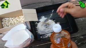 ИЗГНАНИЕ МЫШЕЙ и КРЫС! САМАЯ ПРОСТАЯ и ДОСТУПНАЯ ПРИМАНКА. БЕЗОПАСНО для птиц, кошек и собак.