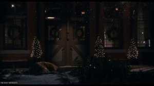 Грустная сцена в Хатико