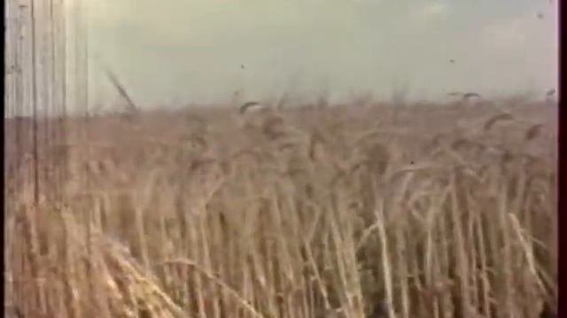 СОЛОДЧА