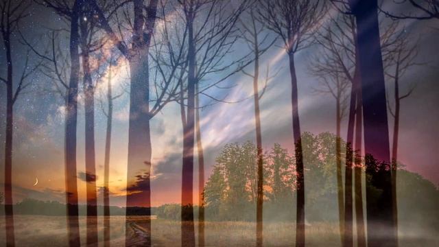 Темный лес (отрывок книги) смотреть онлайн