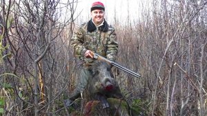 Загонная ОХОТА. 11 ноября 2017г.