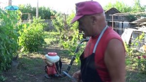 ВИНОГРАД. СРОЧНАЯ ЗАЩИТА ОТ ОИДИУМА И МИЛДЬЮ!!!