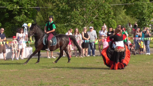 Показательное выступление на лошадях, видео 2024 год