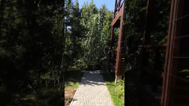 Оленевка. Крым. Парк в пансионате "Солнечная долина" смотреть онлайн