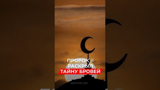 Пророк ﷺ раскрыл тайну бровей