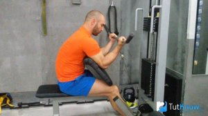 Бицепс на скамье Скотта - техника выполнения упражнения