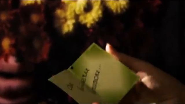 Всегда с тобой...Осенние заботы.wmv