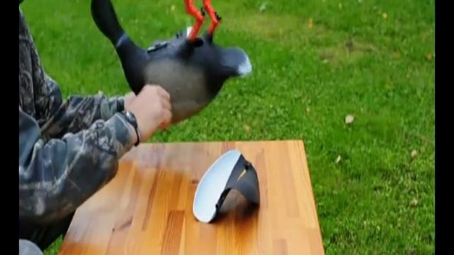 Механическое чучело утки кряквы селезня
