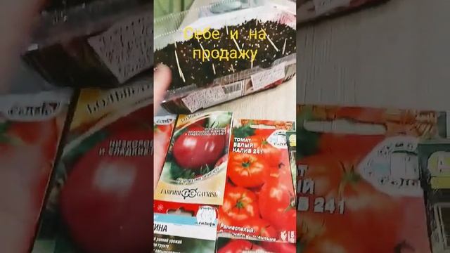 Что посадила себе и на продажу рассады, сорта томатов и ампельные петунии #дача #огород#цветы#семен