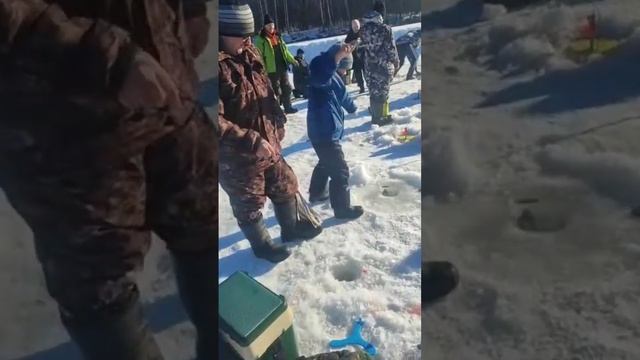 форель на ратлин. От моего сына?????????Рыбалка в Запрудном