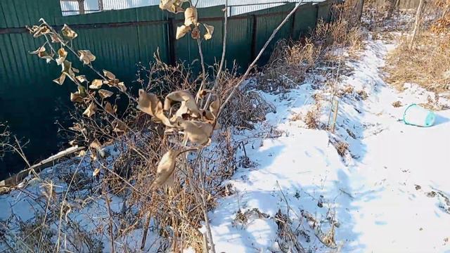 Я на даче сейчас. 4 января 2024 смотреть онлайн