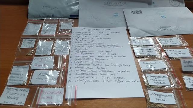 Минусинские сорта томатов на 2022 год/Minusinsk varieties of tomatoes смотреть онлайн