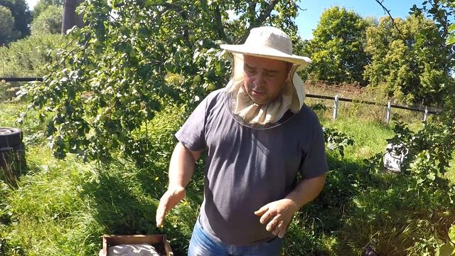 Подготовка средне-русской пчелы к зимовке смотреть онлайн