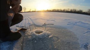 Ловля ротана в Подмосковье.
