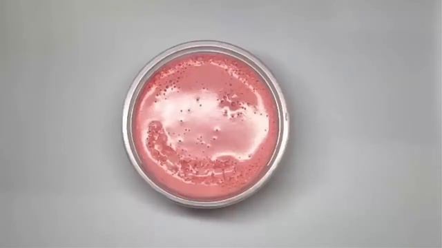 Жесть!слайм стал очень жидким|слайм фейлы|slime Girl