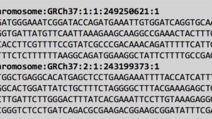 NGSomics (Next-Generation Sequencing Genomics)