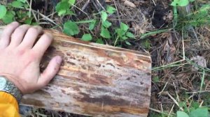 Samurai D-534 lh Лучшая пила для походов и не только