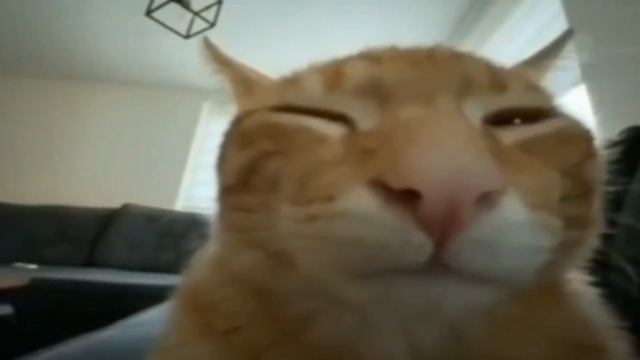 Под этим видео можно написать только один комментарий смотреть онлайн