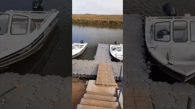 Каспийский Лотос Астрахань смотреть онлайн