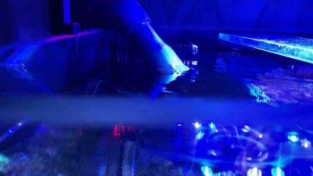 Морской аквариум - легко и просто!) смотреть онлайн