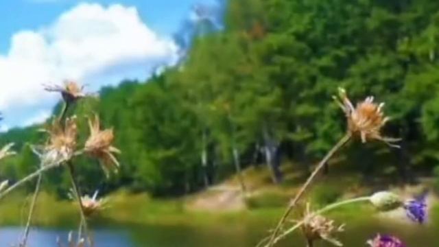 468.ЗАГОВОР НА ПРИВЛЕКАТЕЛЬНОСТЬ