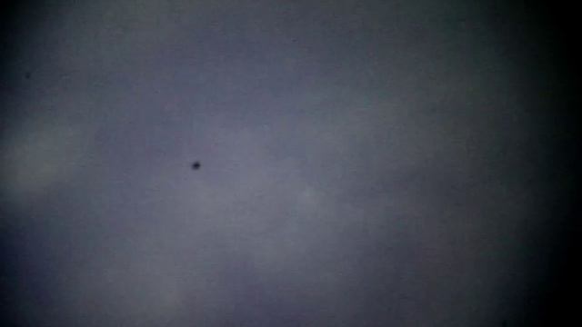 насекомое в цветке. Клещ самый маленький на спине. смотреть онлайн