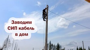 Провели в дом электричество, прокачали насос, подсчитали расход антисептика на каркас