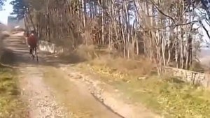 смешные видео на велосипедах