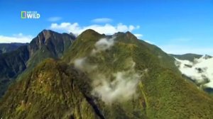 Дикая природа Индонезии Затерянные миры Папуа