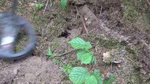 СМЕРТНЫЙ ЖЕТОН или Golden Mask 4 Pro тив minelab EXPLORER II.mp4