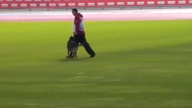 Alexey Breikin Алексей Брейкин Russia C смотреть онлайн