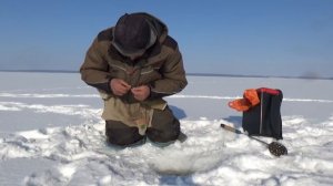 Поймал 🐟Яркое солнце- плохой клев.