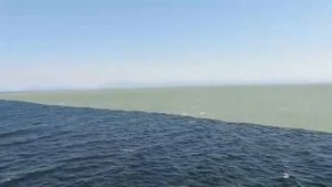 слияние престной и соленной воды Загадка природы.