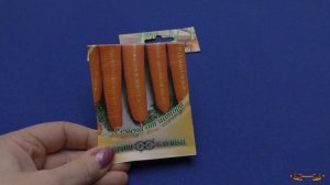 Срок хранения семян овощей. А вы знали, что у семян есть хозяйственная и биологическая долговечност