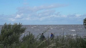 Чудские вести: на берегу Чудского озера строят Зелёную башню