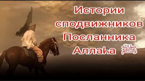 Истории сподвижников Пророка Мухаммада ﷺ