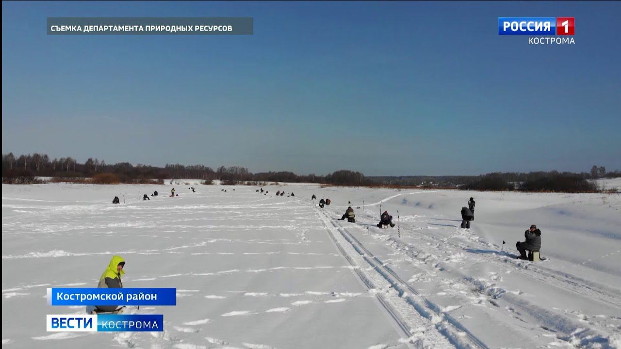 фото костромская область река покша