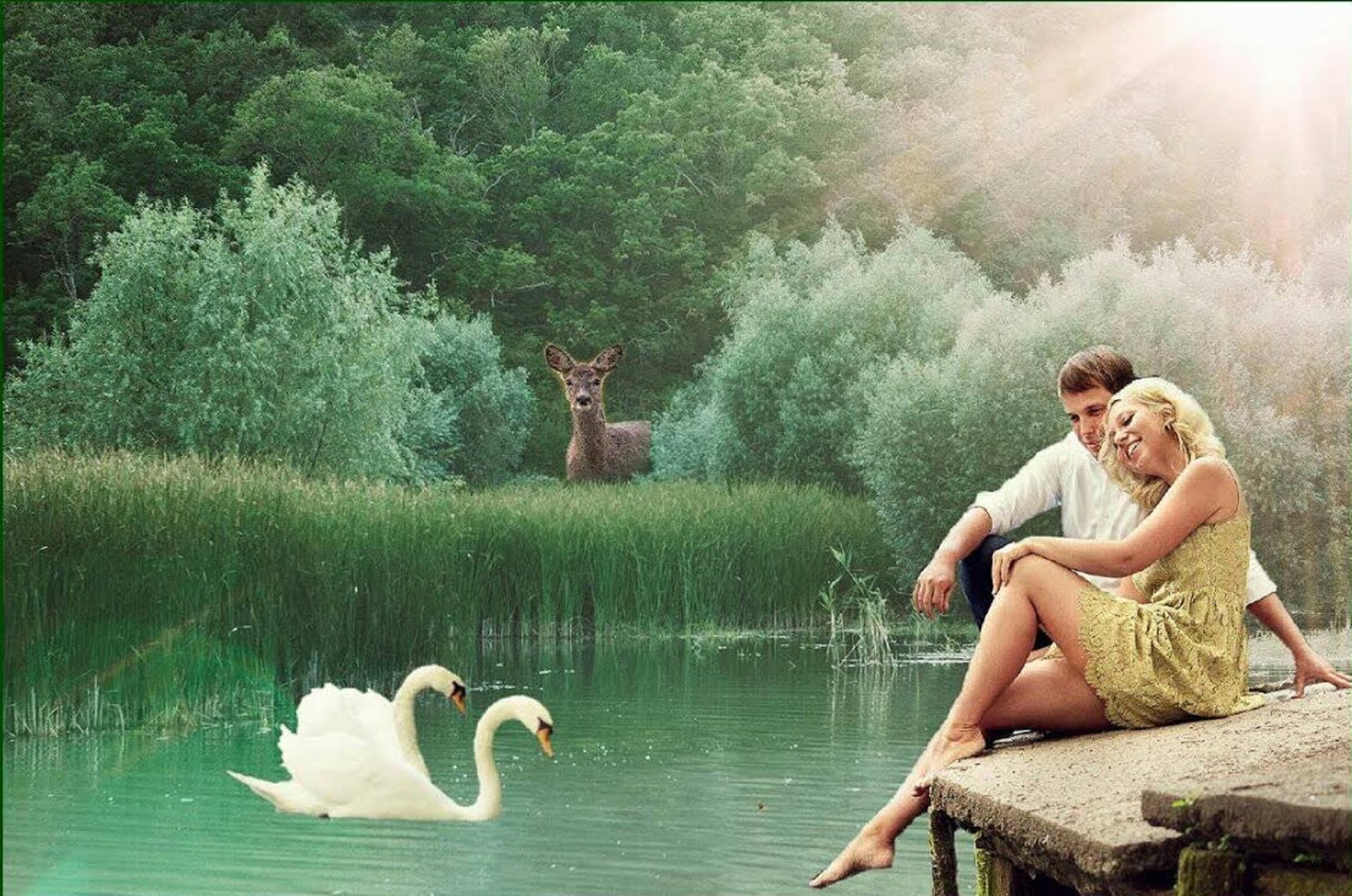 Верность караоке. Влюбленные у пруда. Девушка у озера с лебедями. Влюбленные лебеди. Девушка у пруда.