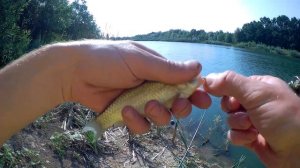 ЛОВЛЯ КАРАСЯ ЛЕТОМ. Поплавок и дальний заброс