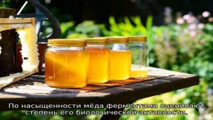 Диастазное число меда — что это