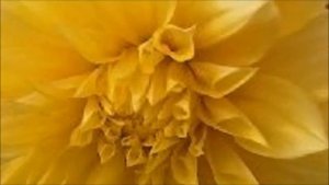 В добрый путь!