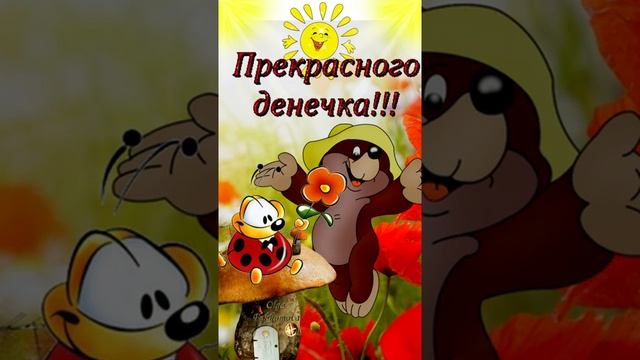 Прекрасного денечка! Музыкальная открытка для друзей. #Shorts