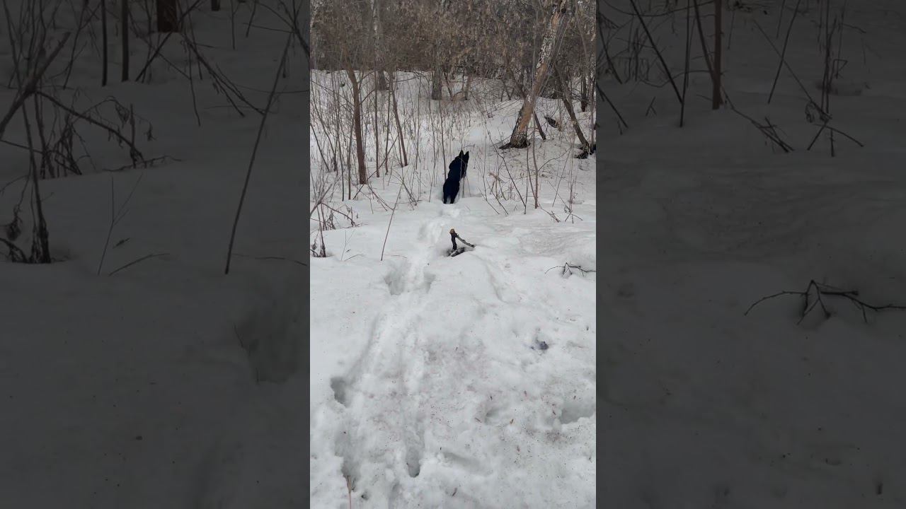 3 апреля 2024 г. смотреть онлайн