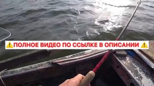 Рыбалка на СУДАКА. Сильная моряна. Астрахань 2022