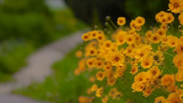 TOP 100 CLASSICAL INSTRUMENTAL GUITAR LOVE SONGS OF ALL TIME ? Relaxing Stress Relief Guitar Music смотреть онлайн