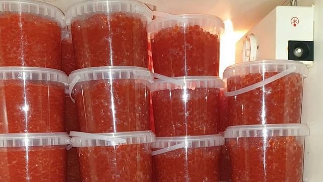 Можно ли замораживать красную икру