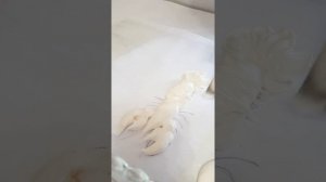 зефирный рак