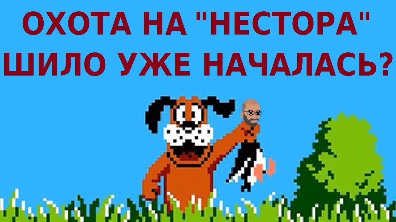 Не без юмора: ОХОТА НА "НЕСТОРА" ШИЛО УЖЕ НАЧАЛАСЬ? (где обитал блоггер, бывший участник дома 2)