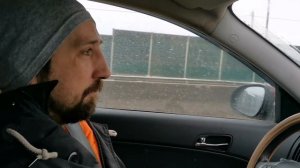 Рыжая вечерница и Бурый ушан. Летучие мыши Москвы и Области