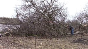 17_02_2020_ПРОДОЛЖЕНИЕ_ПОДГОТОВКА УЧАСТКА ПОД САД.mp4